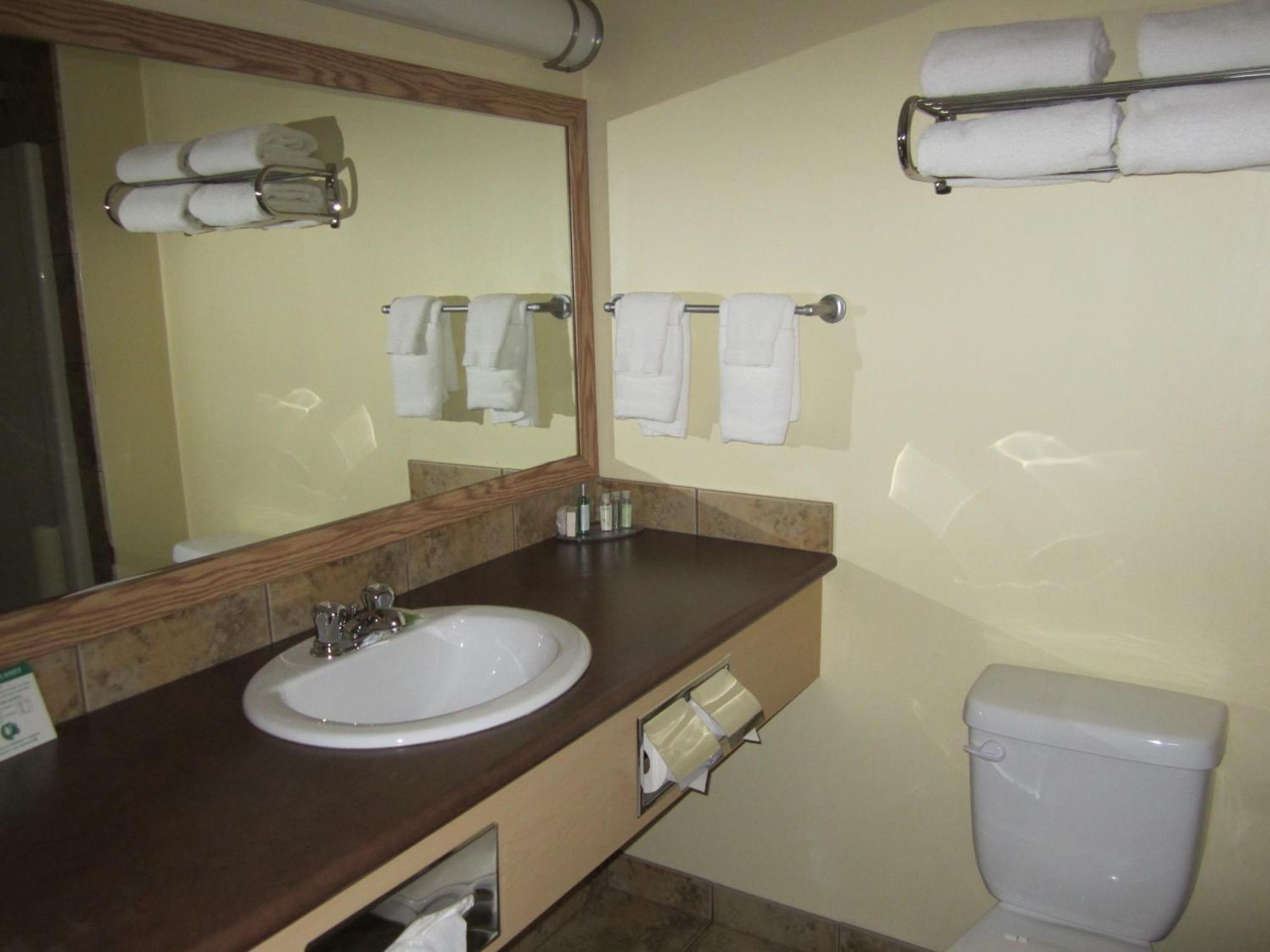 Trend Mountain Hotel & Conference Centre Tumbler Ridge Rom bilde